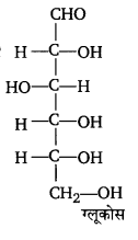 UP Board Solutions for Class 12 Chemistry Chapter 14 Biomolecules image 23