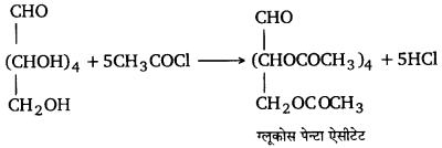 UP Board Solutions for Class 12 Chemistry Chapter 14 Biomolecules image 24