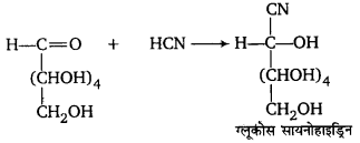 UP Board Solutions for Class 12 Chemistry Chapter 14 Biomolecules image 25