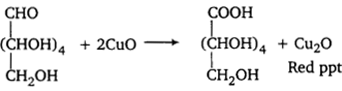 UP Board Solutions for Class 12 Chemistry Chapter 14 Biomolecules image 26