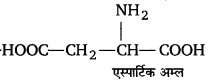 UP Board Solutions for Class 12 Chemistry Chapter 14 Biomolecules image 28