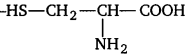 UP Board Solutions for Class 12 Chemistry Chapter 14 Biomolecules image 30