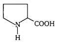 UP Board Solutions for Class 12 Chemistry Chapter 14 Biomolecules image 32