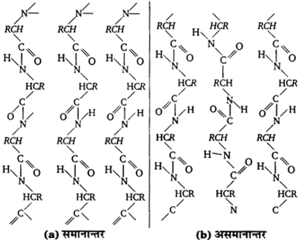 UP Board Solutions for Class 12 Chemistry Chapter 14 Biomolecules image 34