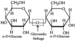 UP Board Solutions for Class 12 Chemistry Chapter 14 Biomolecules image 4