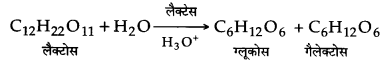 UP Board Solutions for Class 12 Chemistry Chapter 14 Biomolecules image 6