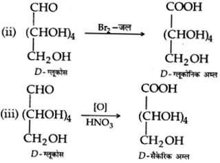 UP Board Solutions for Class 12 Chemistry Chapter 14 Biomolecules image 9