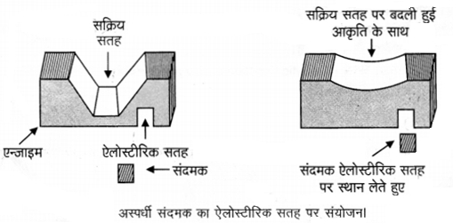UP Board Solutions for Class 12 Chemistry Chapter 16 Chemistry in Everyday Life image 20