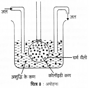 UP Board Solutions for Class 12 Chemistry Chapter 5 Surface Chemistry image 16