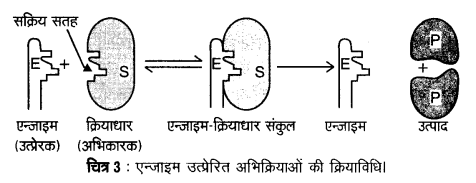 UP Board Solutions for Class 12 Chemistry Chapter 5 Surface Chemistry image 9