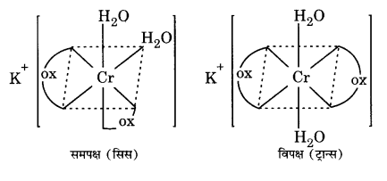 UP Board Solutions for Class 12 Chemistry Chapter 9 Coordination Compounds image 1