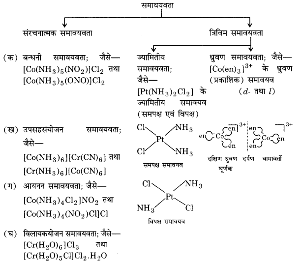 UP Board Solutions for Class 12 Chemistry Chapter 9 Coordination Compounds image 11