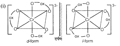 UP Board Solutions for Class 12 Chemistry Chapter 9 Coordination Compounds image 12