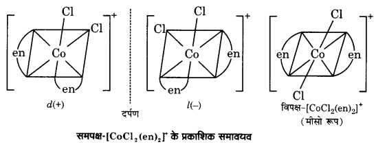 UP Board Solutions for Class 12 Chemistry Chapter 9 Coordination Compounds image 14