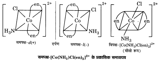 UP Board Solutions for Class 12 Chemistry Chapter 9 Coordination Compounds image 15