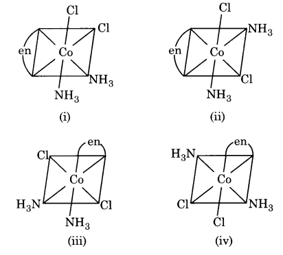 UP Board Solutions for Class 12 Chemistry Chapter 9 Coordination Compounds image 16