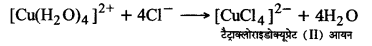 UP Board Solutions for Class 12 Chemistry Chapter 9 Coordination Compounds image 19