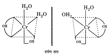 UP Board Solutions for Class 12 Chemistry Chapter 9 Coordination Compounds image 2
