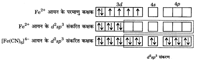 UP Board Solutions for Class 12 Chemistry Chapter 9 Coordination Compounds image 21