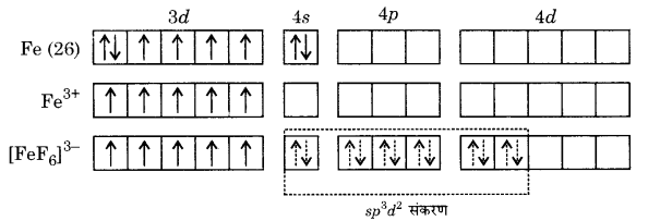 UP Board Solutions for Class 12 Chemistry Chapter 9 Coordination Compounds image 22