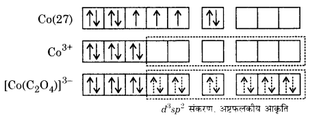 UP Board Solutions for Class 12 Chemistry Chapter 9 Coordination Compounds image 23