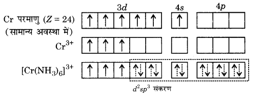 UP Board Solutions for Class 12 Chemistry Chapter 9 Coordination Compounds image 26