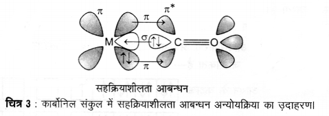 UP Board Solutions for Class 12 Chemistry Chapter 9 Coordination Compounds image 28