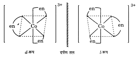 UP Board Solutions for Class 12 Chemistry Chapter 9 Coordination Compounds image 3