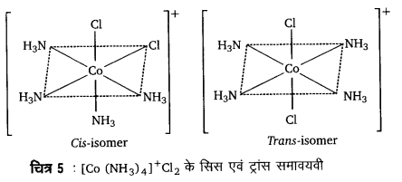 UP Board Solutions for Class 12 Chemistry Chapter 9 Coordination Compounds image 38
