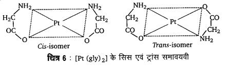 UP Board Solutions for Class 12 Chemistry Chapter 9 Coordination Compounds image 39