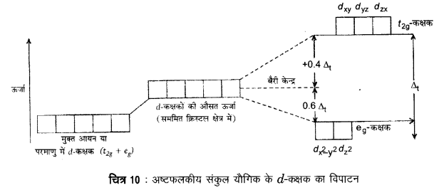 UP Board Solutions for Class 12 Chemistry Chapter 9 Coordination Compounds image 43