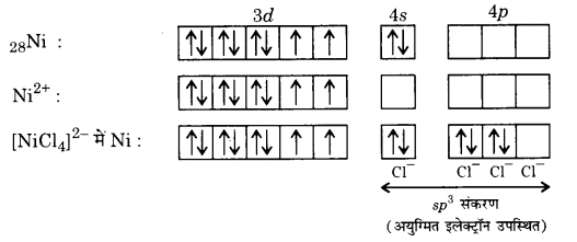 UP Board Solutions for Class 12 Chemistry Chapter 9 Coordination Compounds image 6
