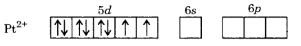UP Board Solutions for Class 12 Chemistry Chapter 9 Coordination Compounds image 7
