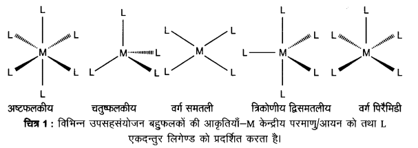 UP Board Solutions for Class 12 Chemistry Chapter 9 Coordination Compounds image 9