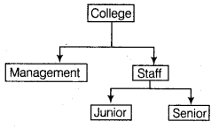 UP Board Solutions for Class 12 Computer Chapter 16 इनहेरिटेन्स img-3