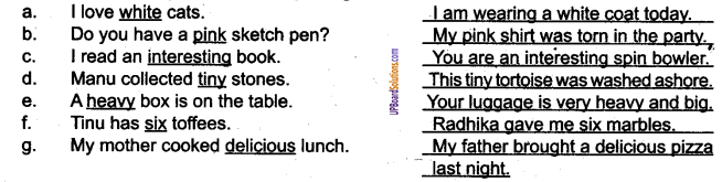 UP Board Solutions for Class 6 English Chapter 3 The Magic Show img-2