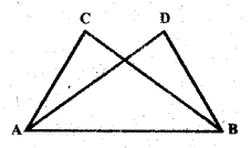 UP Board Solutions for Class 6 Maths Chapter 13 त्रिभुज 13b 4