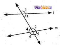 UP Board Solutions for Class 6 Maths Chapter 9 लम्ब और समान्तर रेखाएँ 13