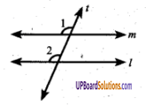 UP Board Solutions for Class 6 Maths Chapter 9 लम्ब और समान्तर रेखाएँ 9