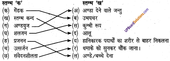 UP Board Solutions for Class 6 Science Chapter 6 जीव जगत img-1