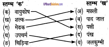 UP Board Solutions for Class 6 Science Chapter 7 जीवों में अनुकूलन img-1