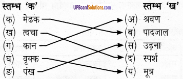 UP Board Solutions for Class 6 Science Chapter 8 जन्तु की संरचना व कार्य img-1