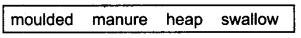 UP Board Solutions for Class 7 English Chapter 4 Mr. Garbage and Mrs. Polythene img-1