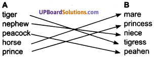 UP Board Solutions for Class 7 English Chapter 4 Mr. Garbage and Mrs. Polythene img-5