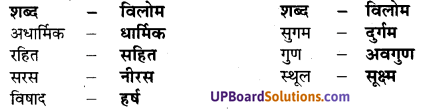 UP Board Solutions for Class 7 Hindi Chapter 2 राजधर्म (मंजरी) image - 3