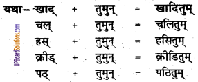 UP Board Solutions for Class 8 Sanskrit Chapter 6 किं ततं जानाति भवान् img-2