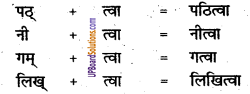 UP Board Solutions for Class 8 Sanskrit Chapter 6 किं ततं जानाति भवान् img-3