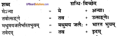 UP Board Solutions for Class 8 Sanskrit Chapter 9 भव्या भागीरथी img-1