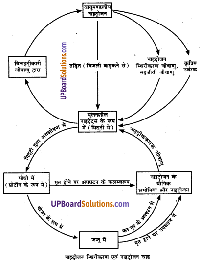 UP Board Solutions for Class 8 Science Chapter 10 फसल उत्पादन img-2