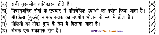 UP Board Solutions for Class 8 Science Chapter 5 सूक्ष्मजीवों का सामान्य परिचय एवं वर्गीकरण img-1